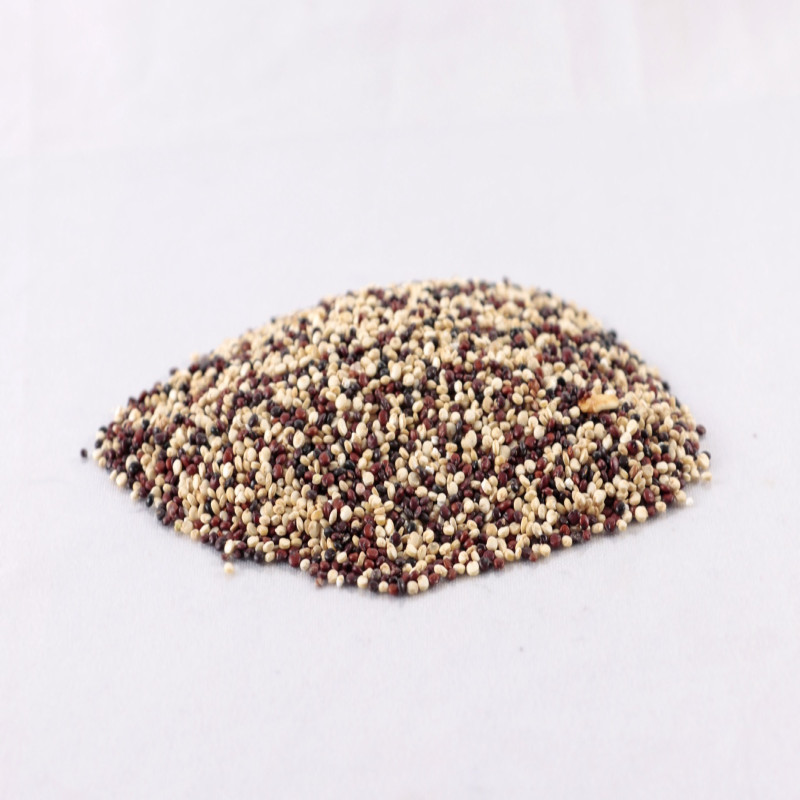 Compra Quinoa tricolor